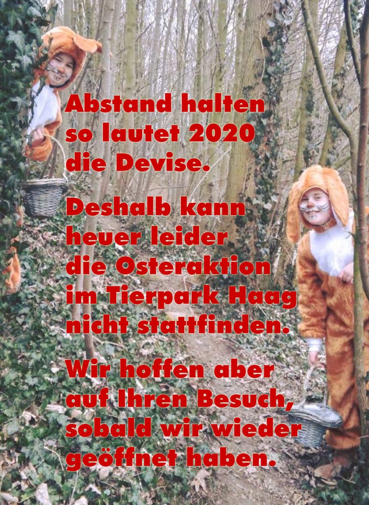 Die Osteraktion 2020 enftällt!