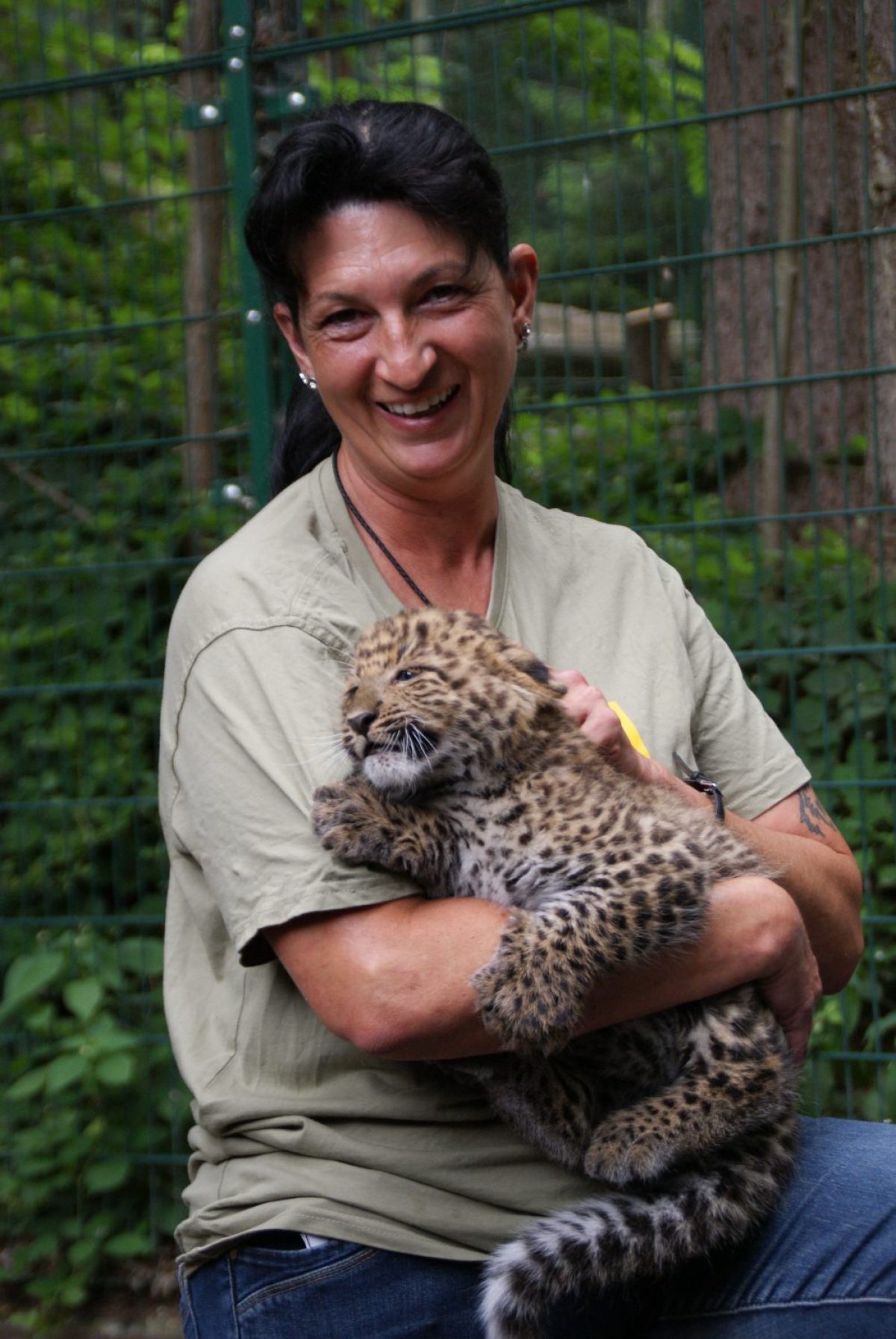 Leoparden Jungtiere Pressetermin