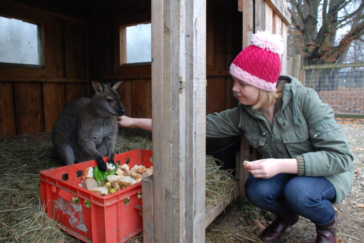 Känguru Ronja