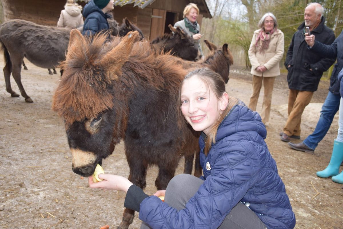 Tierpatenschaft Zwergesel Peppina