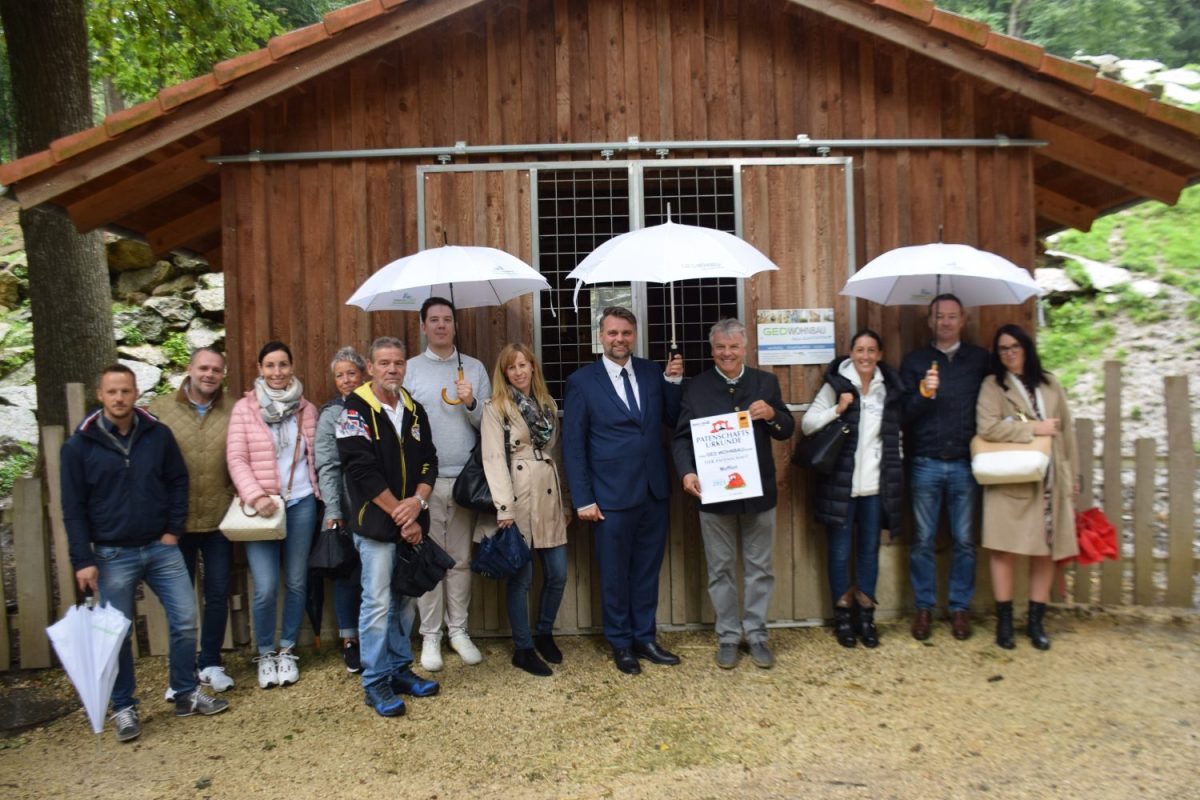 Firmenpatenschaft für Mufflon und Rothirsch