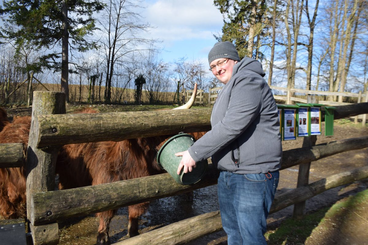 Namenspatronanz Schottisches Hochlandrind Mike