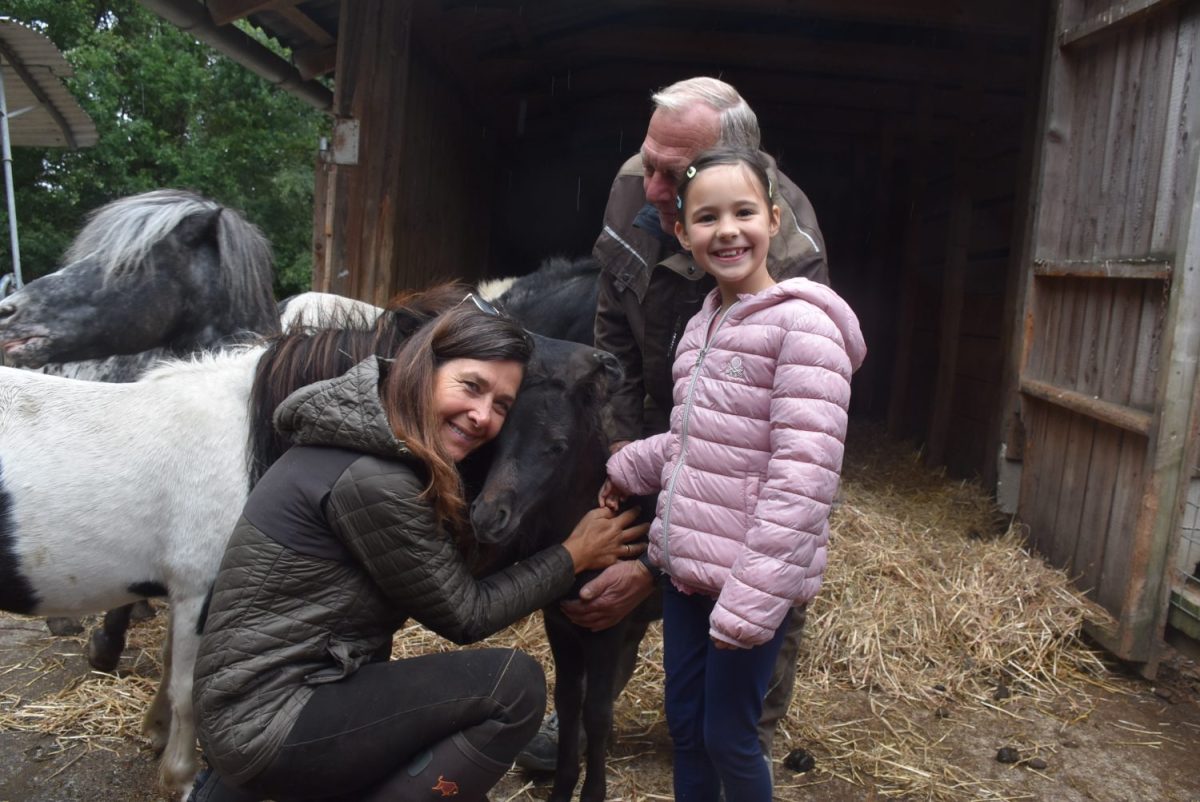 Tierpatenfeier Shetland-Pony Rosinante