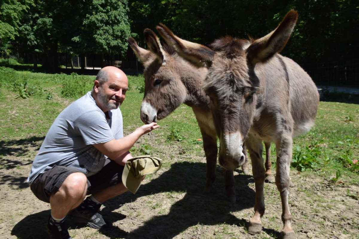 Patenschaft Hausesel Rucio