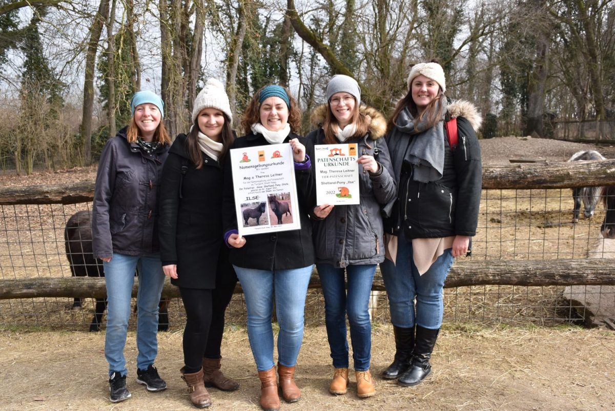 Namensgebung Shetlandpony Ilse