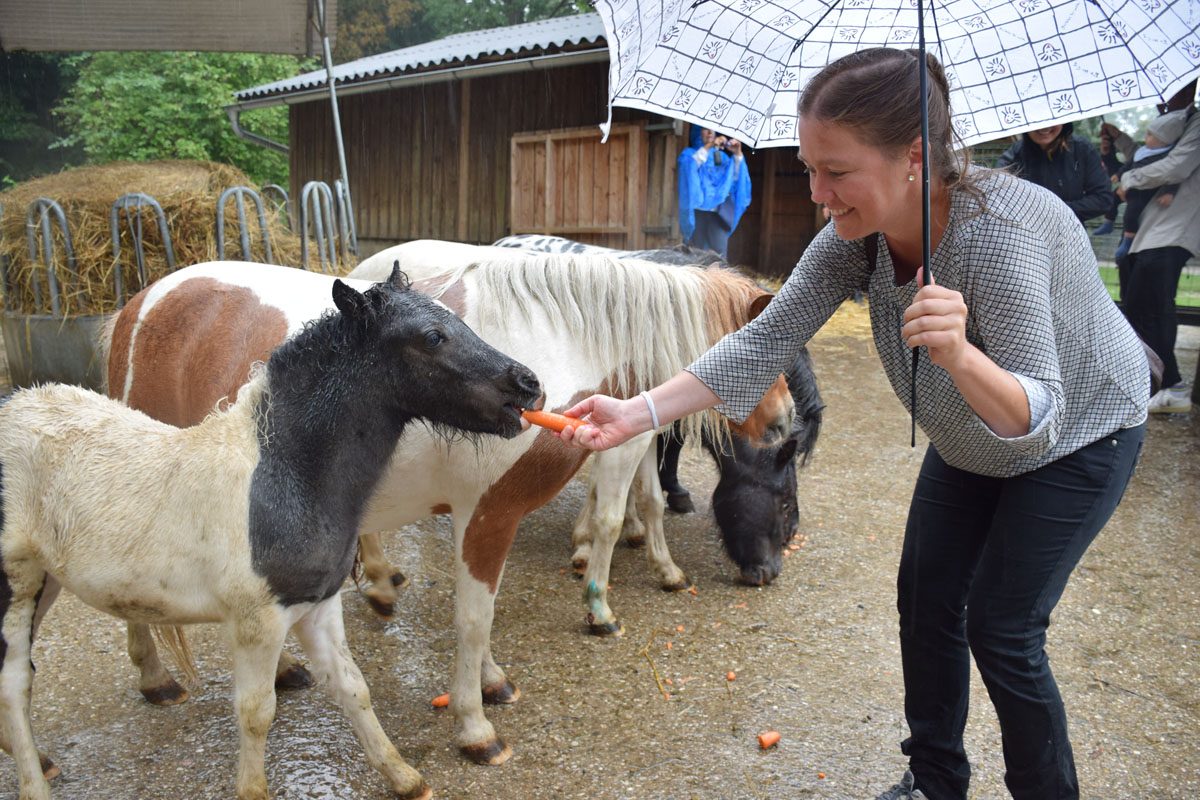 Namensgebung Pony Carla