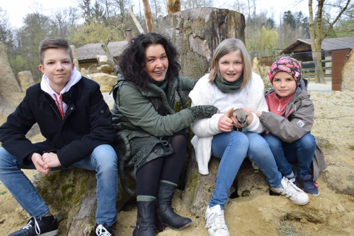 Namensgebung Erdmännchen Cala-Hari