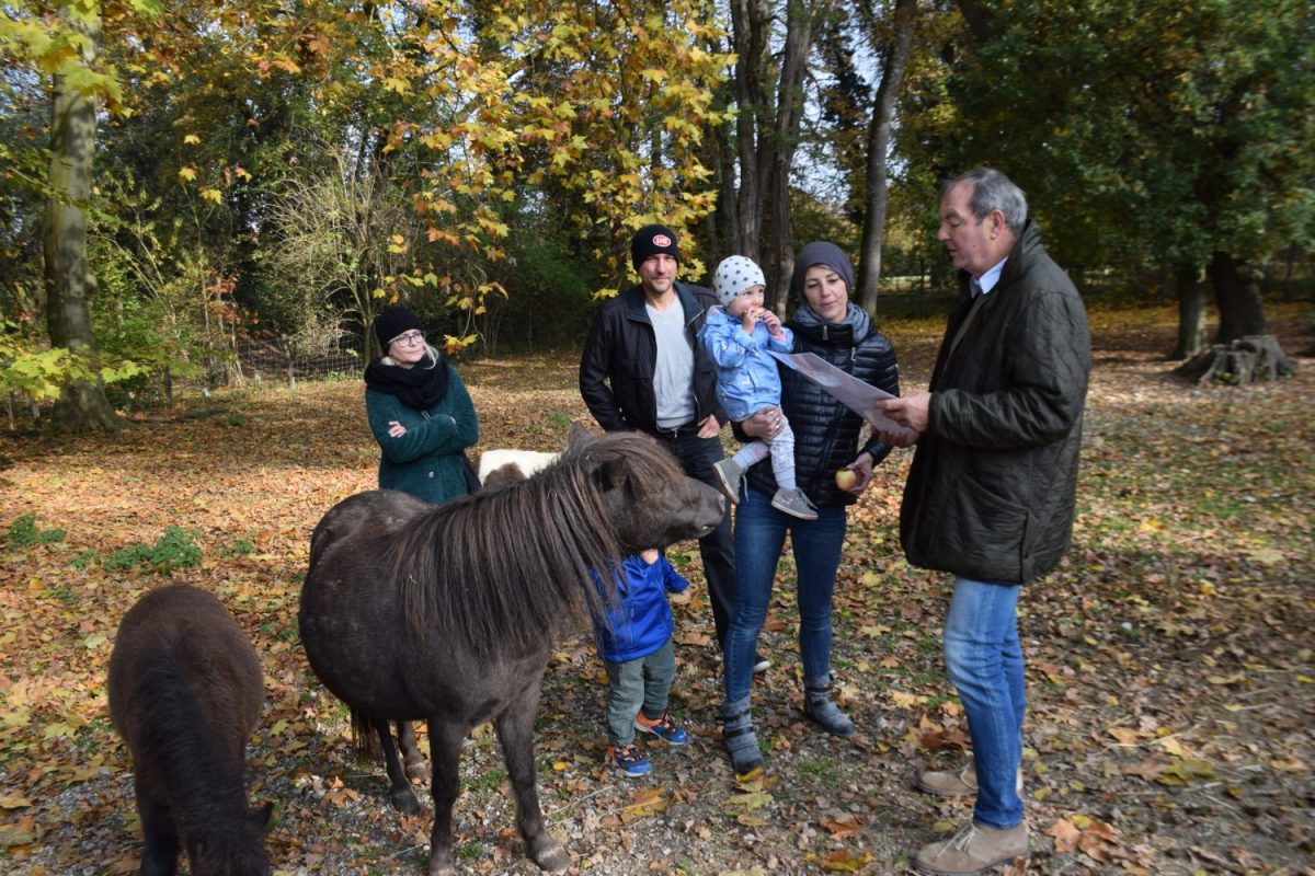 Namensgebungsfeier Shetland Pony Kerry