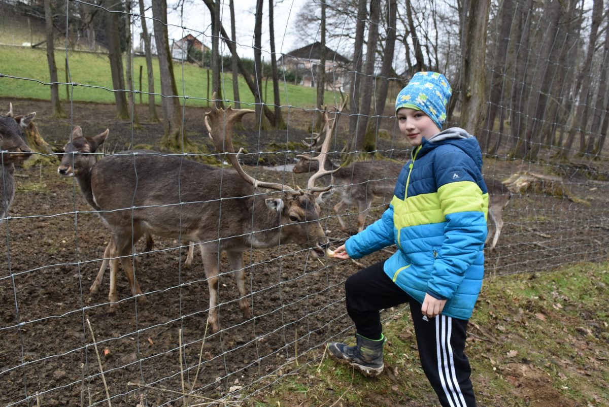 Namensgebung Damhirsch Messi ©Tierpark Stadt Haag