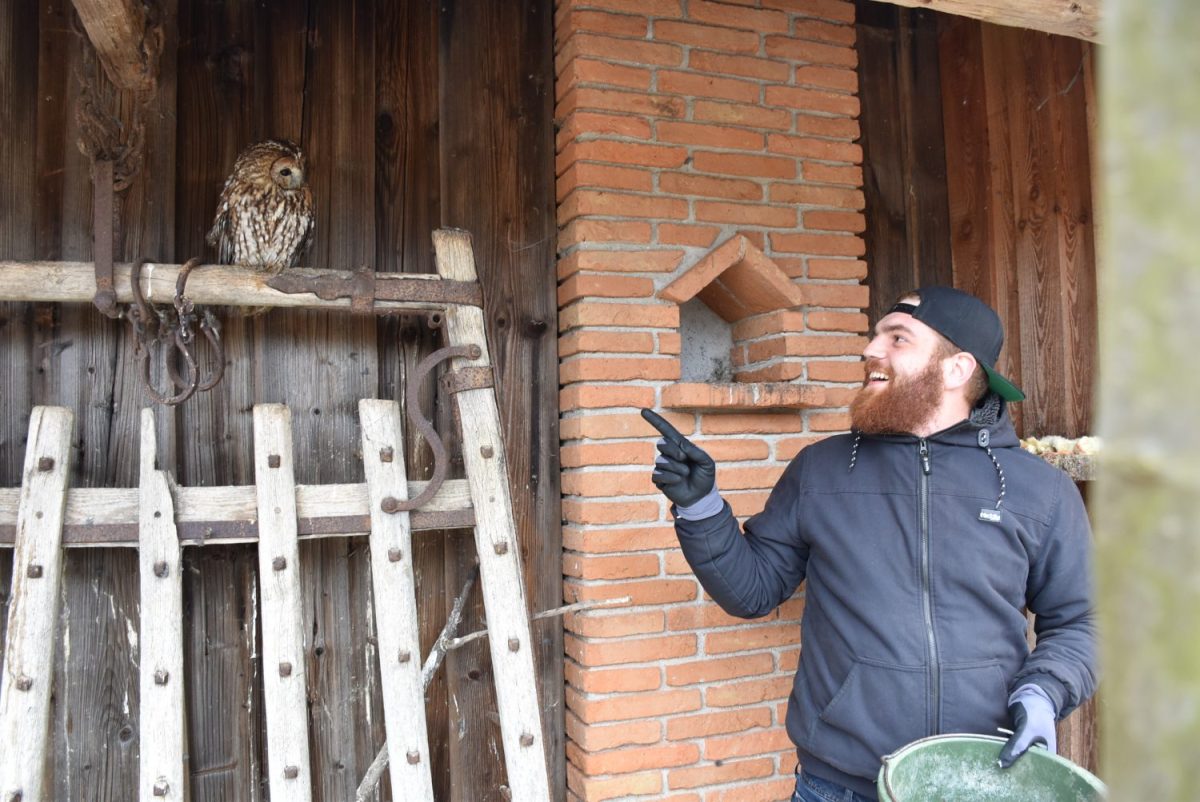 Tierpatenfeier Waldkauz Marley