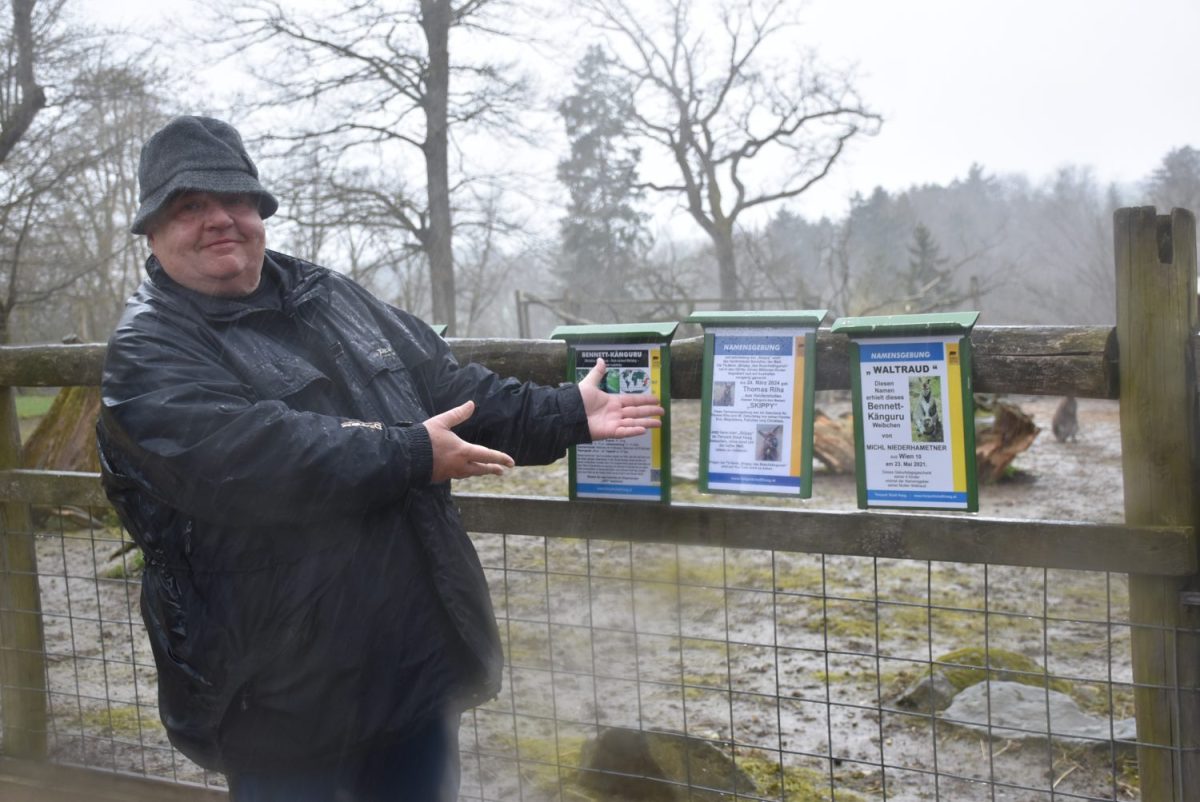 Namensgebung Känguru Skippy © Tierpark Stadt Haag / Herbert Stoschek