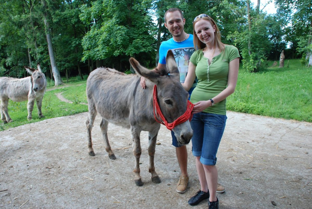 Tierpatenschaft für Hausesel Clara