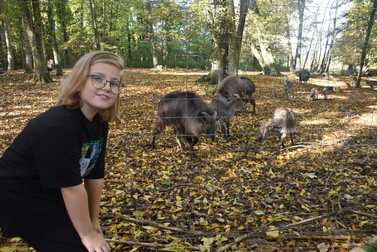 Namensgebung Tahr Nelly