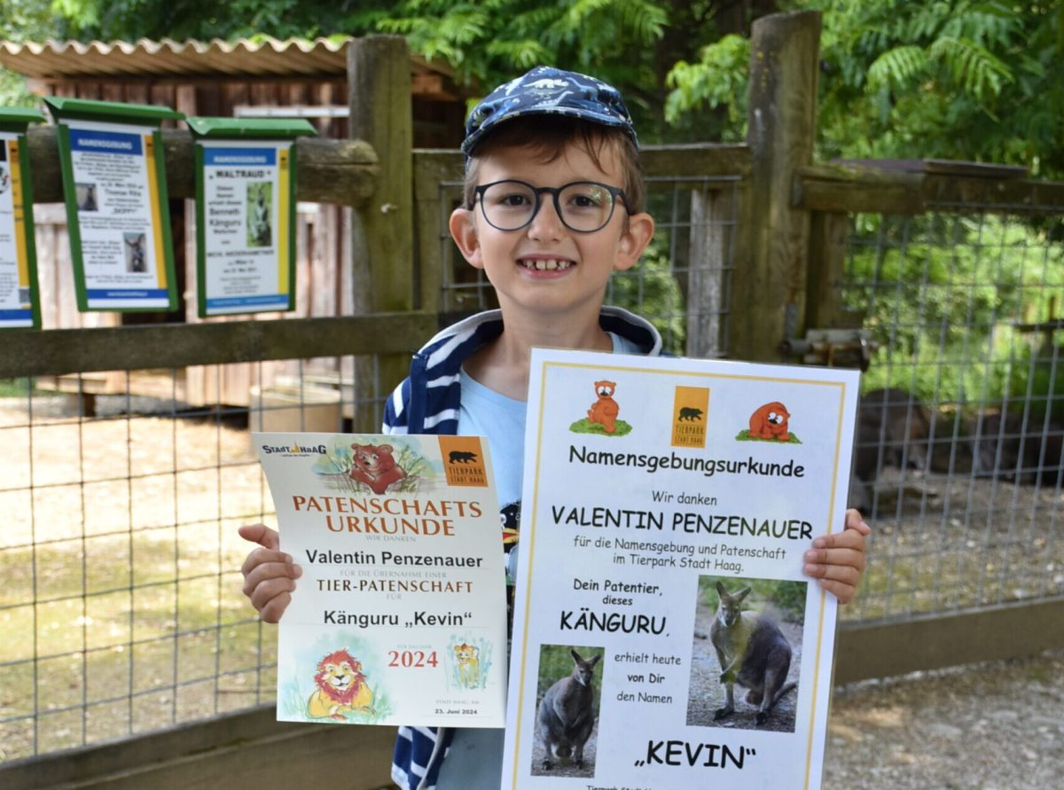 Namensgebung Känguru Kevin © Tierpark Stadt Haag / Herbert Stoschek