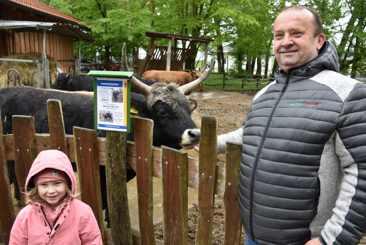 Tierpatenschaft Auerochse Paul, ©Tierpark Stadt Haag / Herbert Stoschek