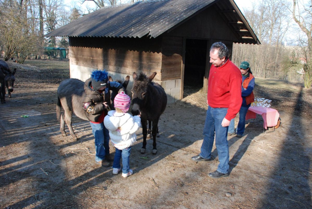 Tierpatenschaft Zwergesel Marc