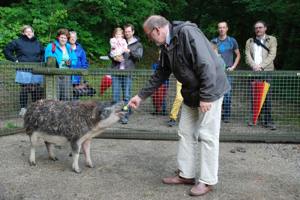 Tierpatenfeier Mangalitza Dietlinde