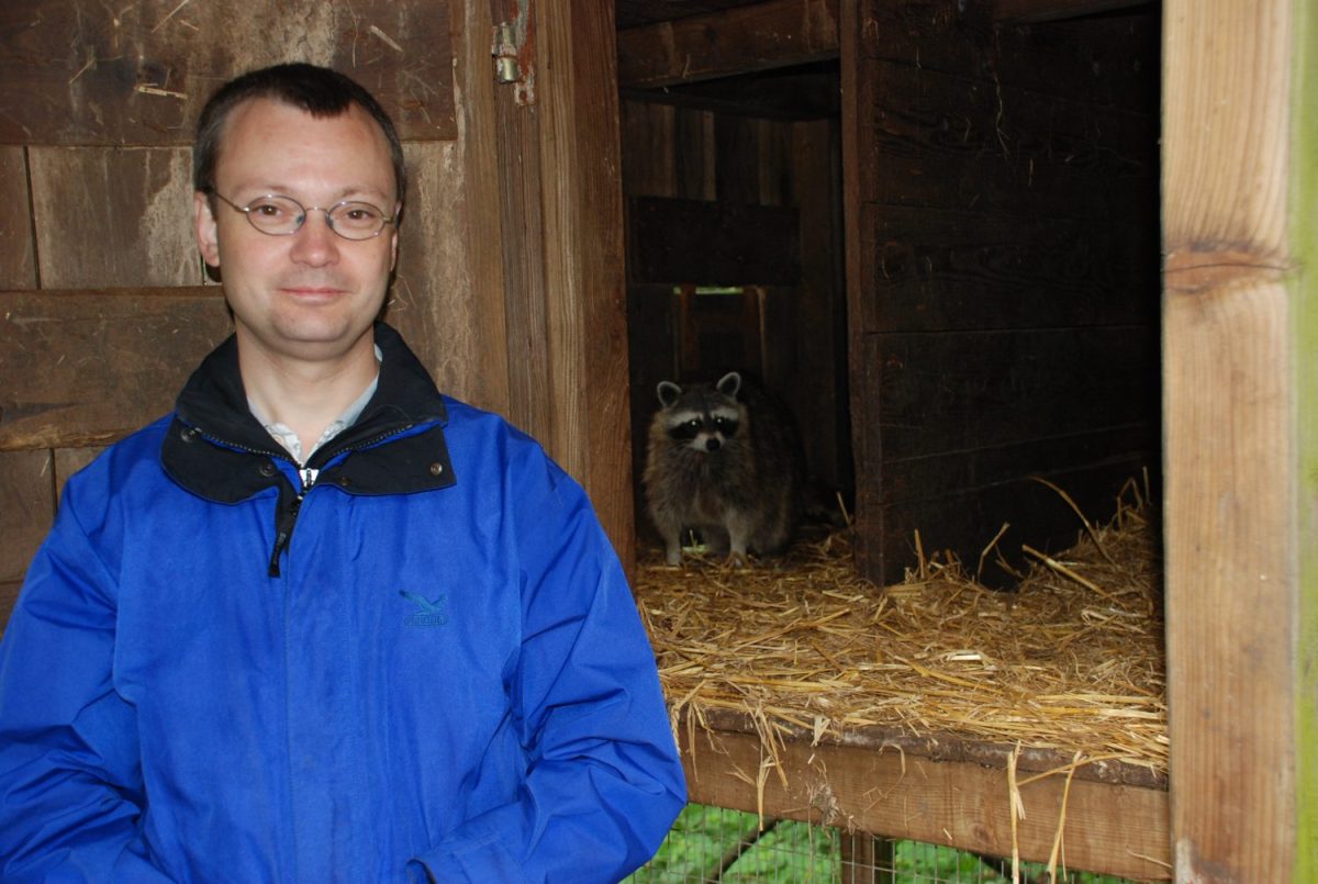 Tierpatenschaft Waschbär Luna