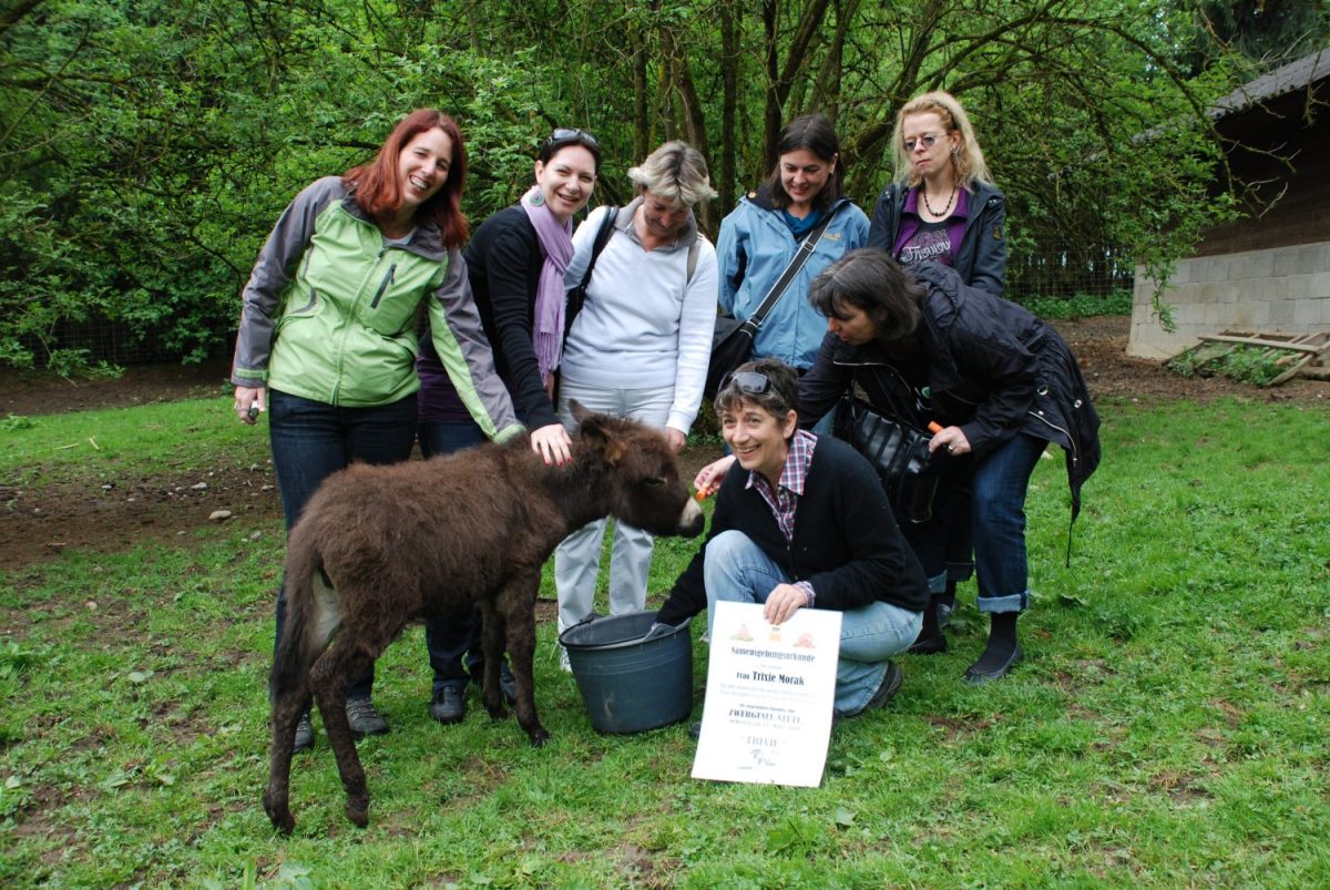 Tierpatenschaft Zwergesel Trixie