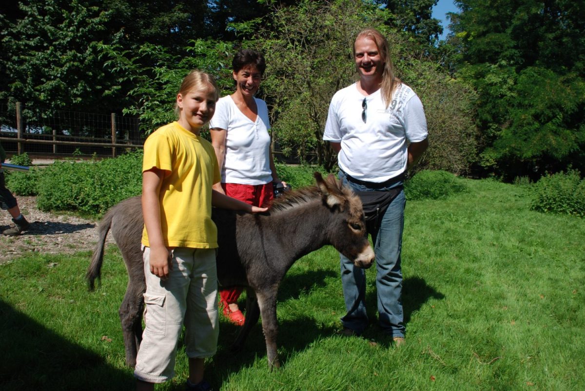 Tierpatenschaft Zwergesel Jan