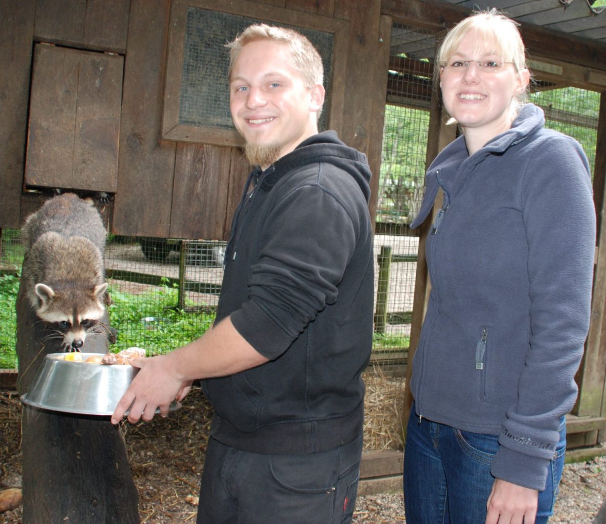 Tierpatenschaft Waschbär Stoffi