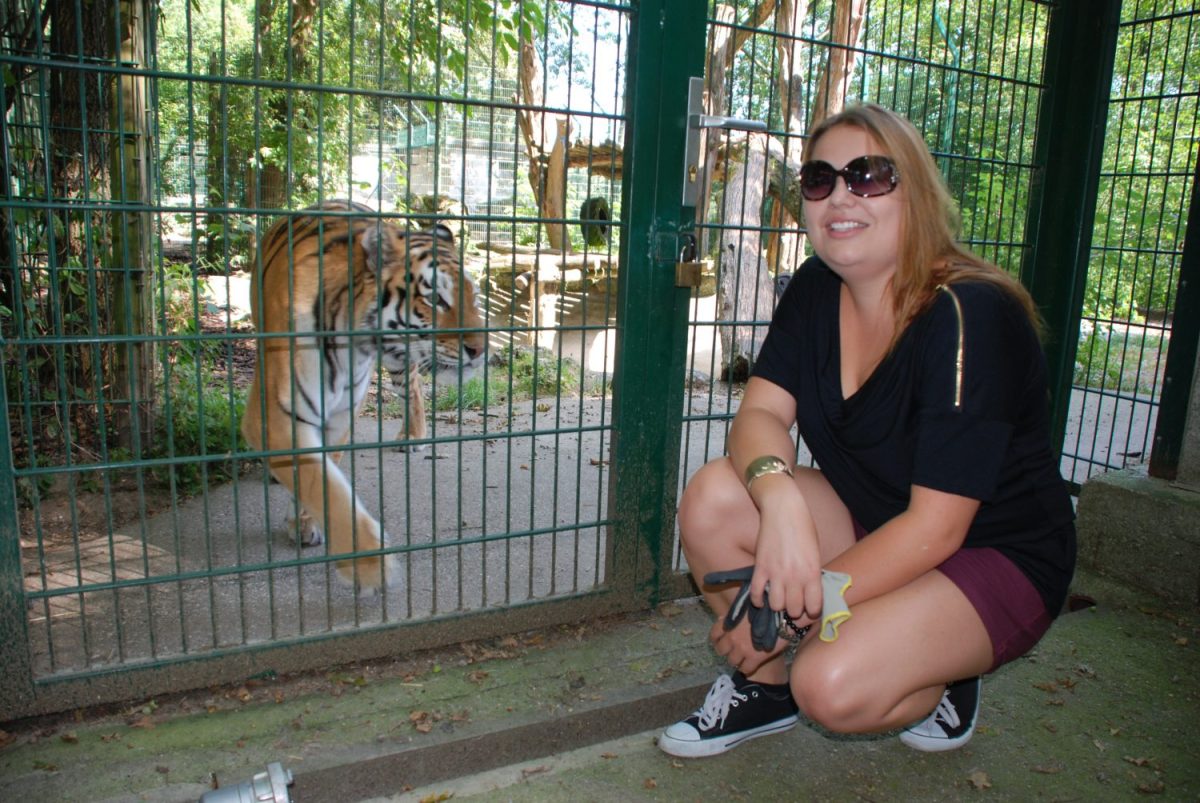 Namensgebung Tiger Rani Sophie