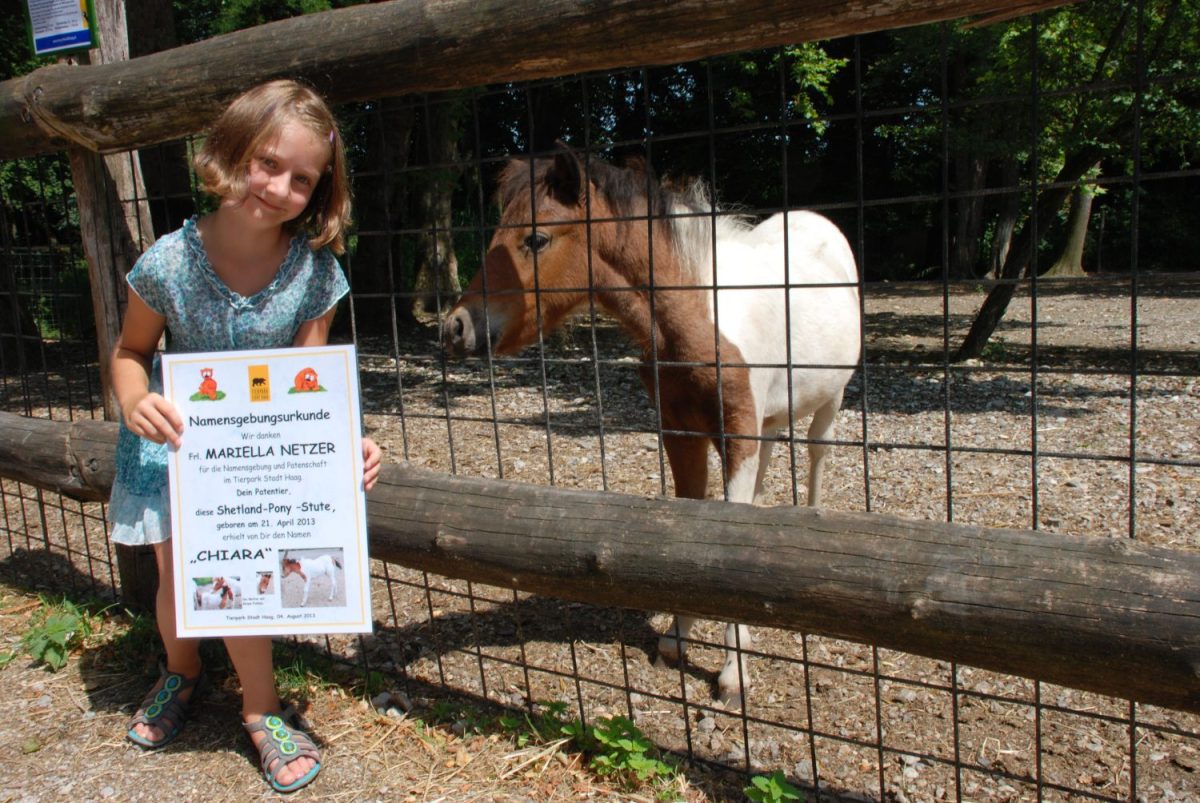 Patenfeier Shetlandpony Chiara