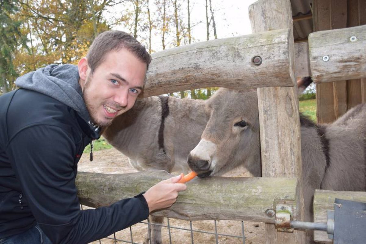 Fütterung Hausesel Jimmy