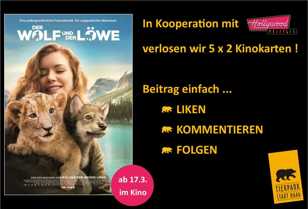 Gewinnspiel FB