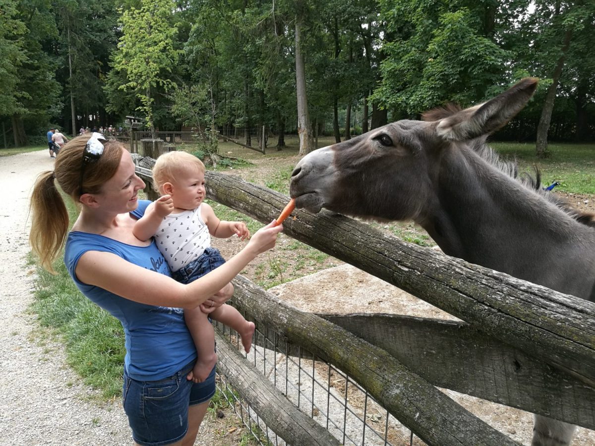 Tierparkbesuch