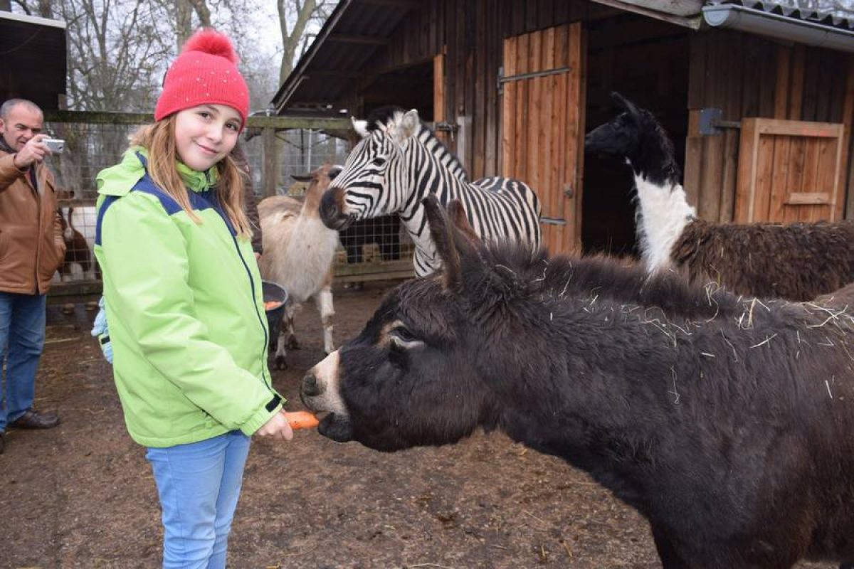 Tierpatin und Zwergesel Bonny