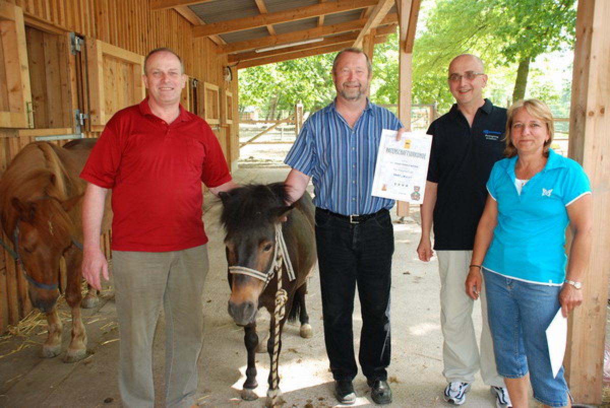 Patenschaft für Ponys