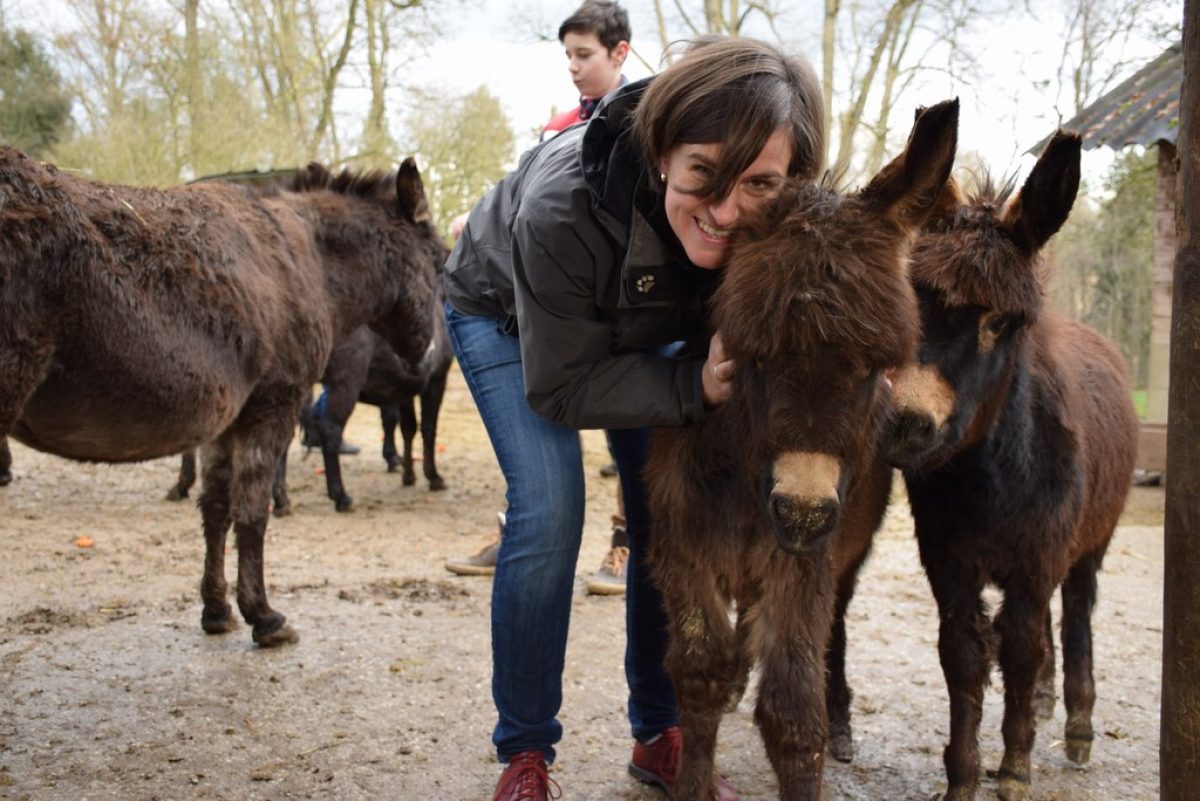 Tierpatenfeier Zwergesel Dondo