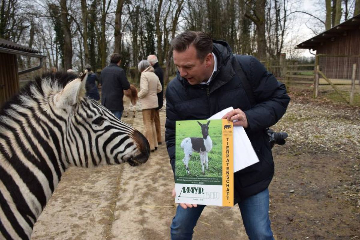 Tierpatenschaft Lama Smiley