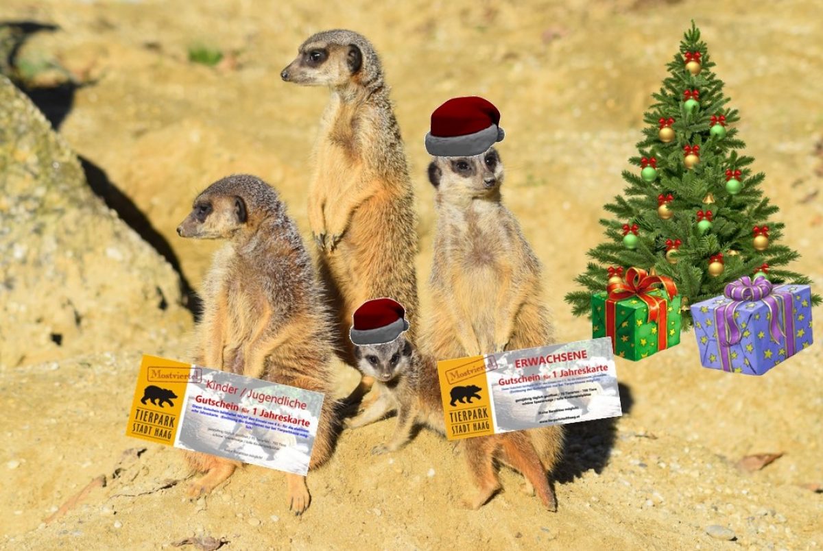 Weihnachtsgeschenk Jahreskarte Tierpark Stadt Haag